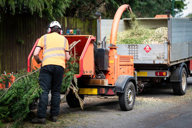 Best Commercial Tree Services  in USA